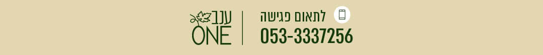 einav008 event Landing page315